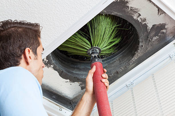 Best Dryer Vent Cleaning Services  in Steubenville, OH