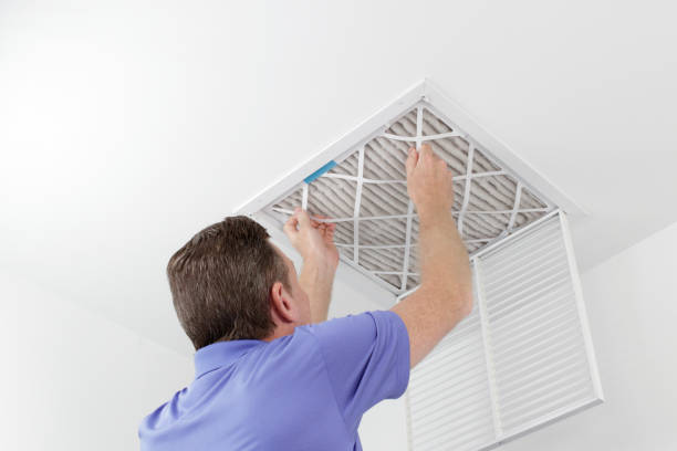 Best Home Air Vent Cleaning  in Steubenville, OH